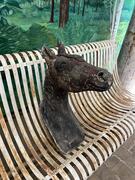 Concrete horse head, early 20th century 