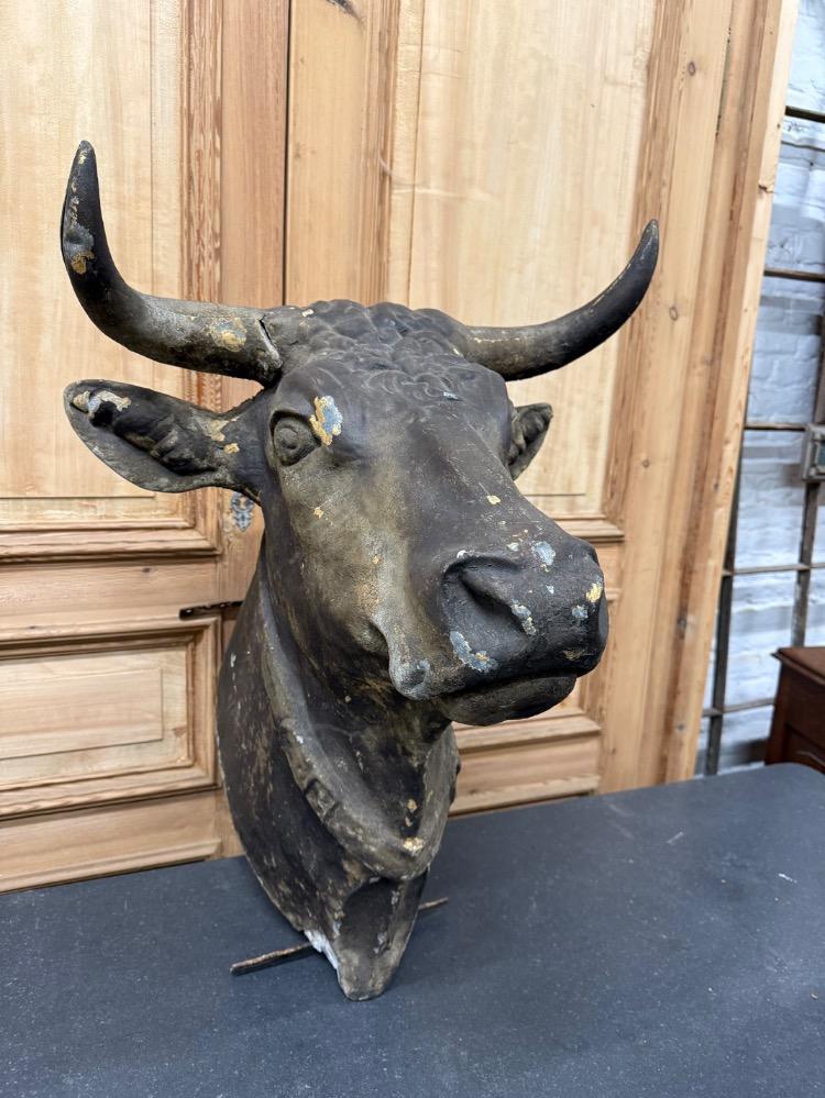 LARGE BULL'S HEAD, 19TH CENTURY