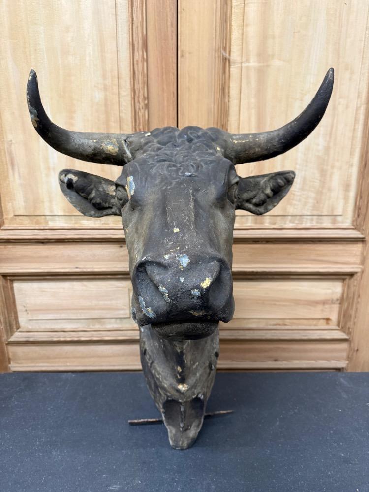 LARGE BULL'S HEAD, 19TH CENTURY