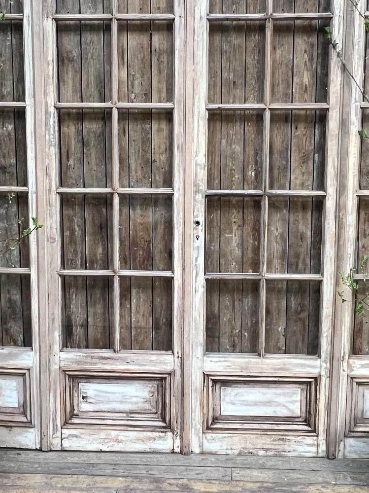 Series of orangery doors, early 20th century