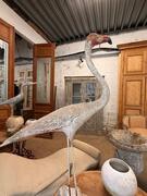 Set of 2 concrete birds, early 20th century 