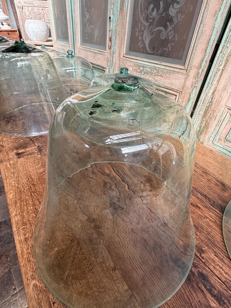 SET OF 9 GLASS GARDEN CLOCHES, LATE 19TH CENTURY
