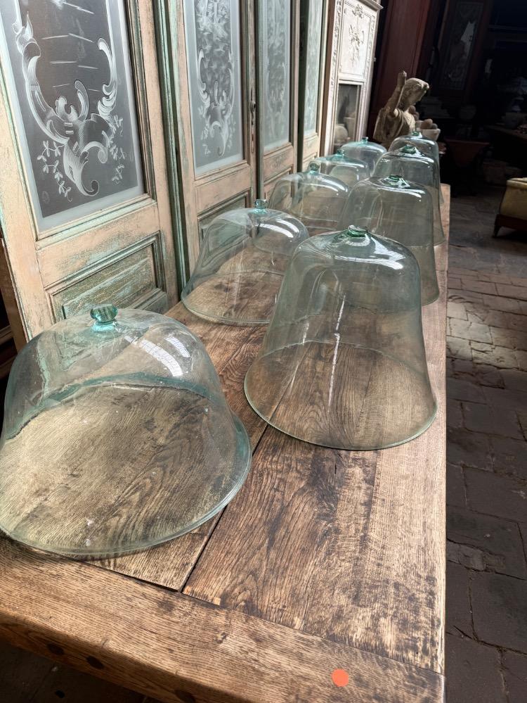 SET OF 9 GLASS GARDEN CLOCHES, LATE 19TH CENTURY