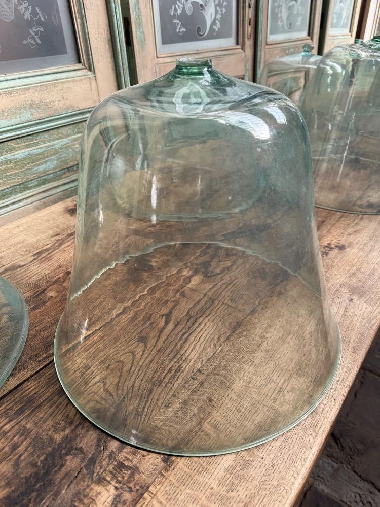 SET OF 9 GLASS GARDEN CLOCHES, LATE 19TH CENTURY