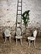 Set of garden chairs, early 20th century