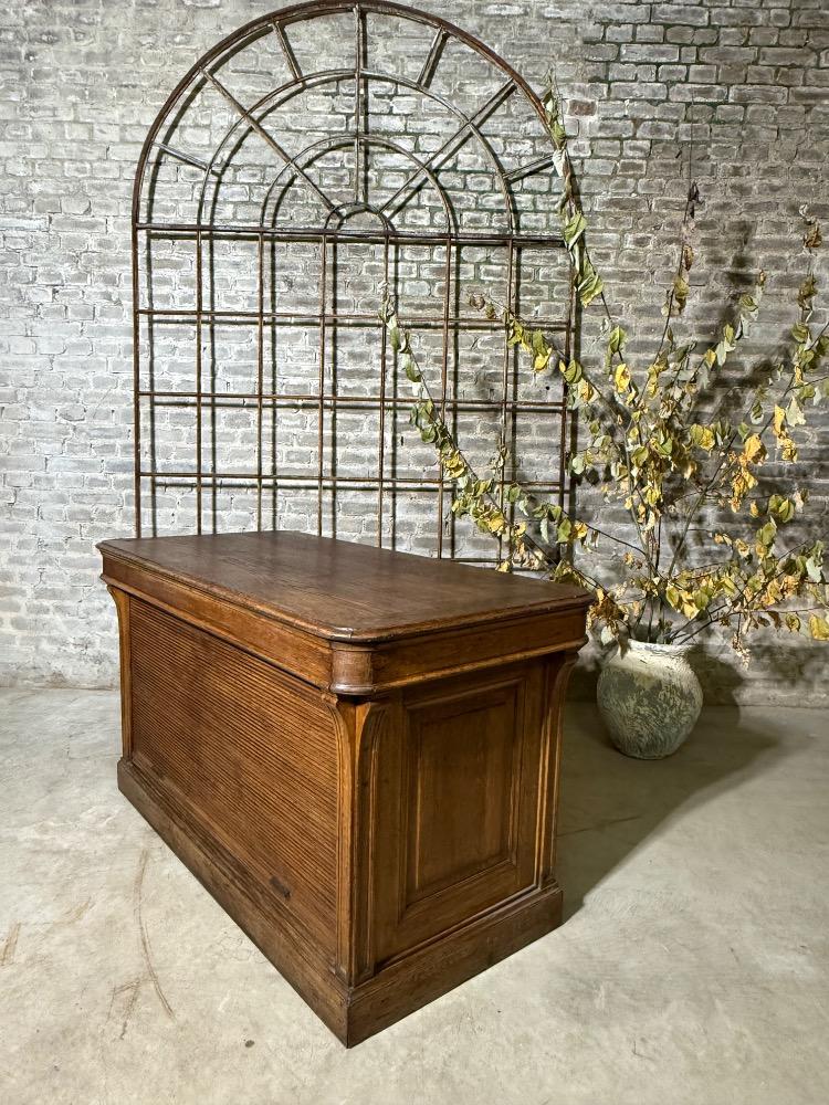 STORE COUNTER, EARLY 20TH CENTURY